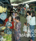 Fruta y verdura fresca y a precios muy convenientes y competitivos, fueron la gran atracción ofrecida por el nuevo Mercado a los consumidores de Maipú.