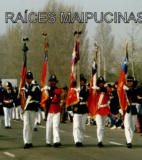 La Bandera de Chile, Estandarte del Cuerpo y de cada una de las Compañías de Bomberos de Maipú.