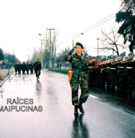 El 29 de junio de 1994 está marcado como una de las fechas más emblemáticas en la historia de Maipú, con la llegada de esta importante unidad militar