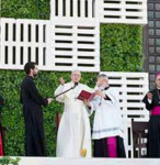 Encuentro del Papa Francisco con los jóvenes, en la explanada del Santuario Nacional de Maipú. 17 de enero de 2018 (58)